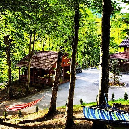 Pensiunea Valea Gepisului Grosi  Exteriér fotografie