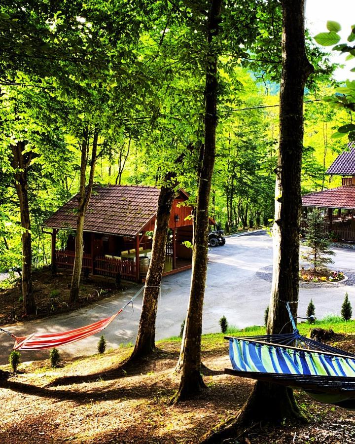 Pensiunea Valea Gepisului Grosi  Exteriér fotografie