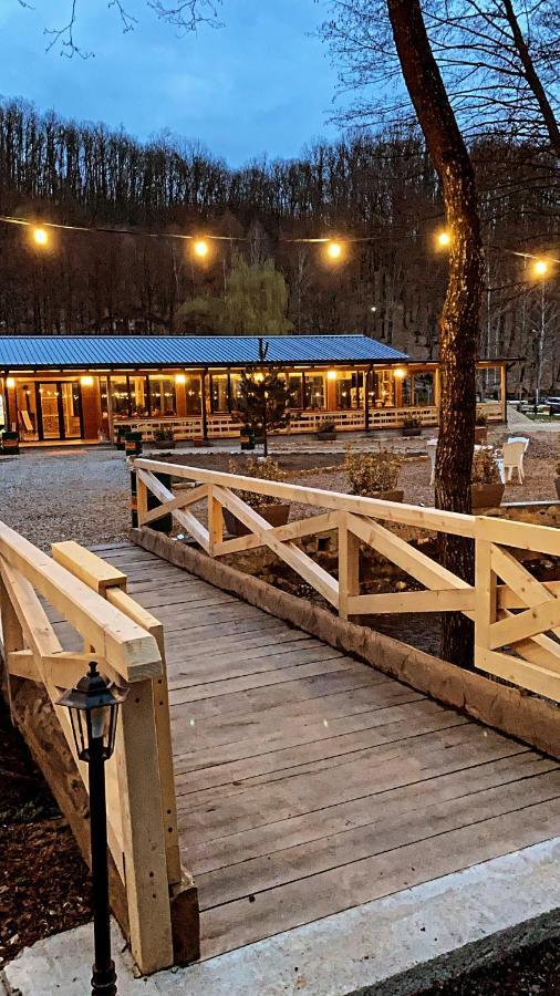 Pensiunea Valea Gepisului Grosi  Exteriér fotografie