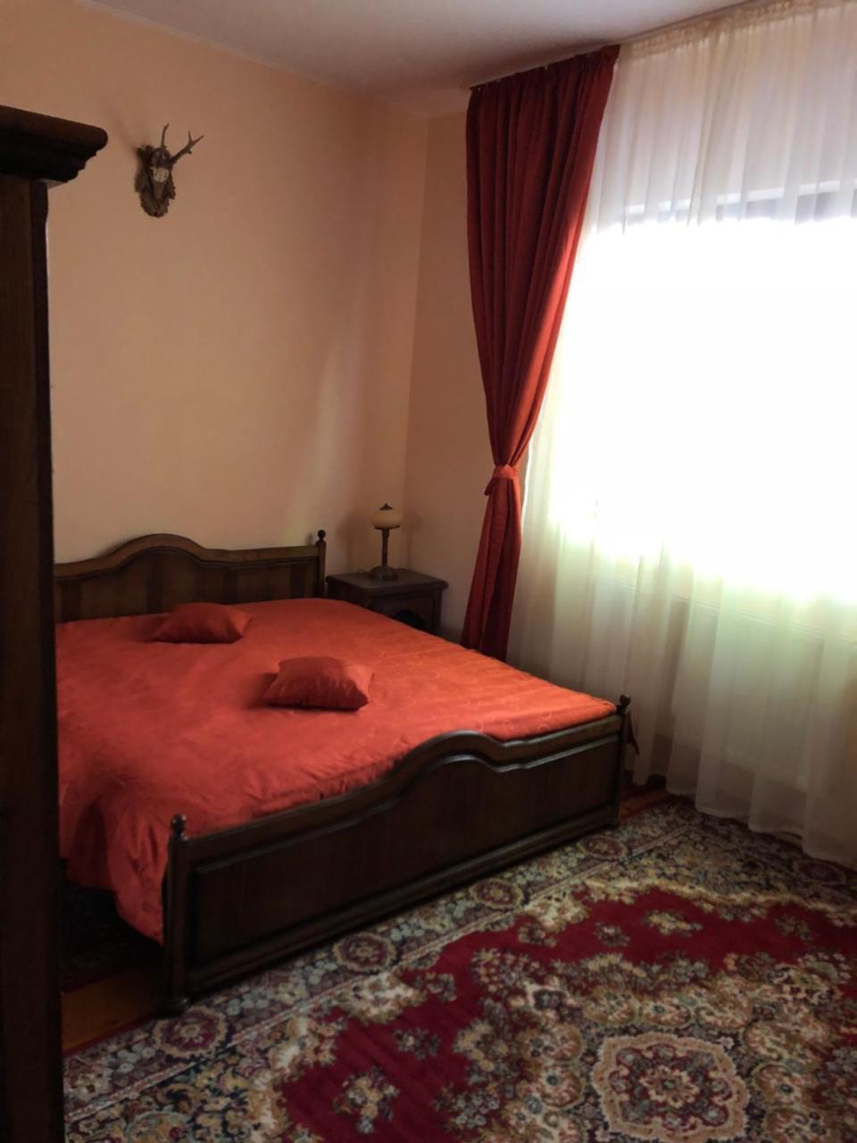 Pensiunea Valea Gepisului Grosi  Exteriér fotografie