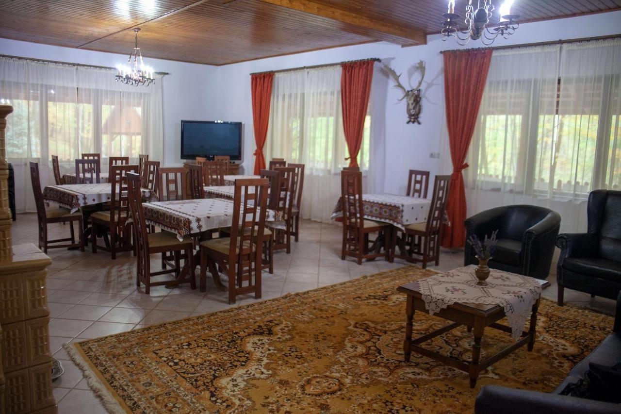 Pensiunea Valea Gepisului Grosi  Exteriér fotografie