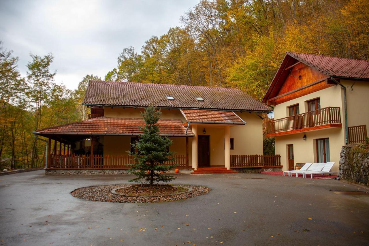 Pensiunea Valea Gepisului Grosi  Exteriér fotografie