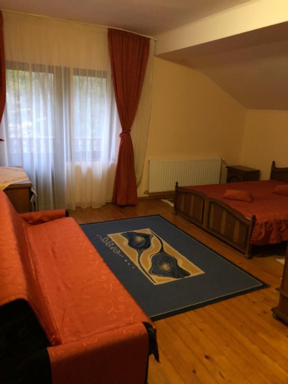 Pensiunea Valea Gepisului Grosi  Exteriér fotografie