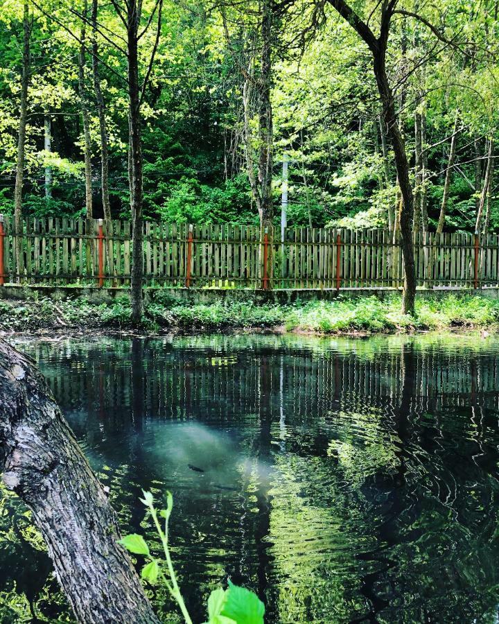 Pensiunea Valea Gepisului Grosi  Exteriér fotografie