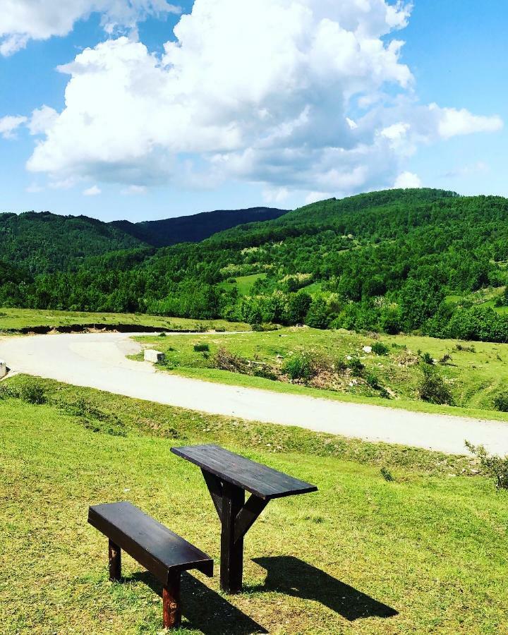 Pensiunea Valea Gepisului Grosi  Exteriér fotografie